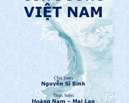 Con đường Việt Nam